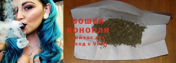 стафф Каменка