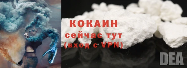 стафф Каменка