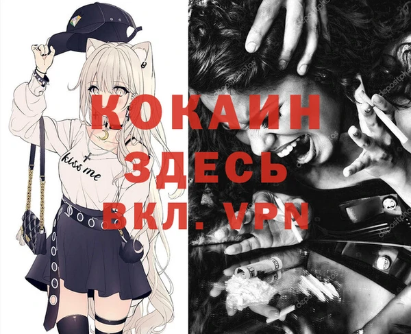 герыч Каменногорск