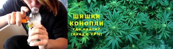 стафф Каменка