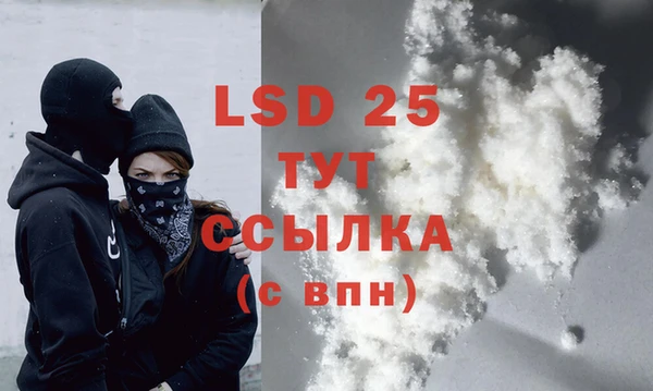 стафф Каменка